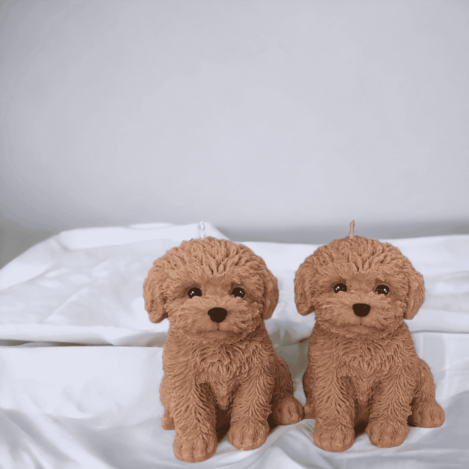 Brown Puppy - Scent Stories